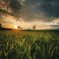 Lesen LED Bilder Bewertungen